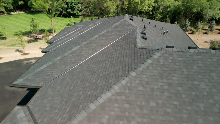 Best Roof Maintenance and Cleaning  in Lake Vla, IL