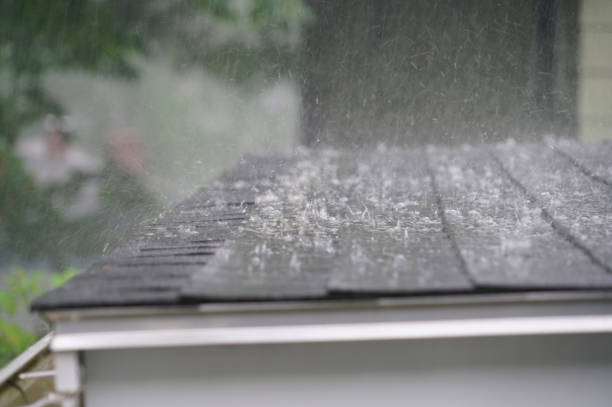 Best Metal Roofing Installation  in Lake Vla, IL