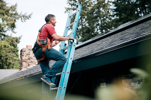  Lake Vla, IL Roofing Service Pros